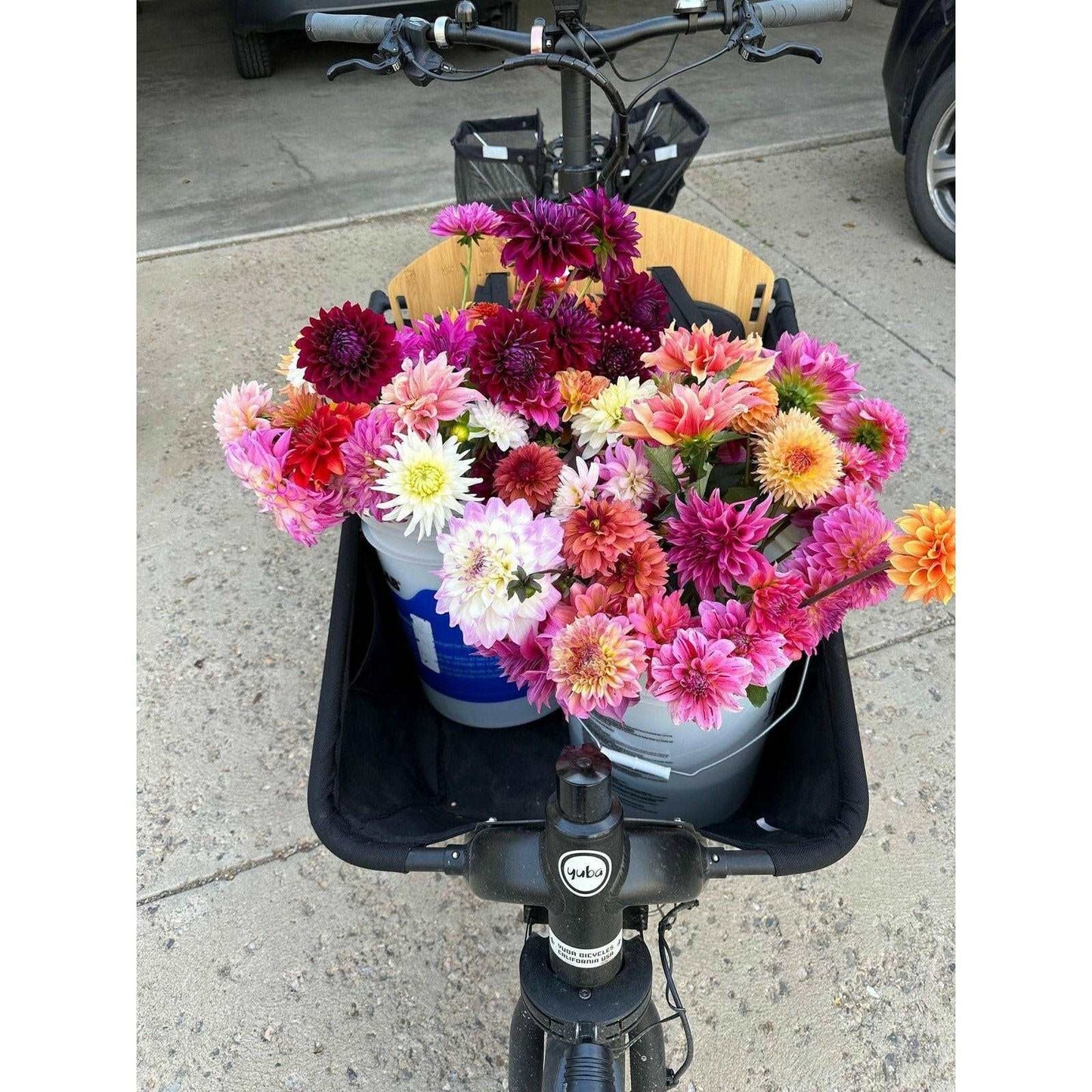 4 week mixed flower bouquet subscription (August - September) - Pedaling Petals