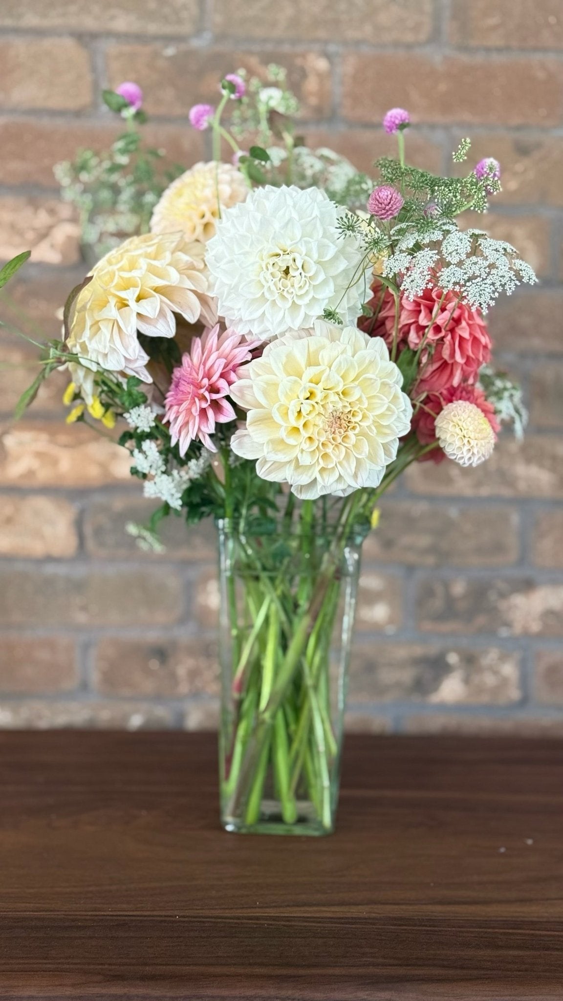 dahlia and succulent bouquet 4 week premium dahlia flower bouquet subscription (August-September) –  Pedaling Petals