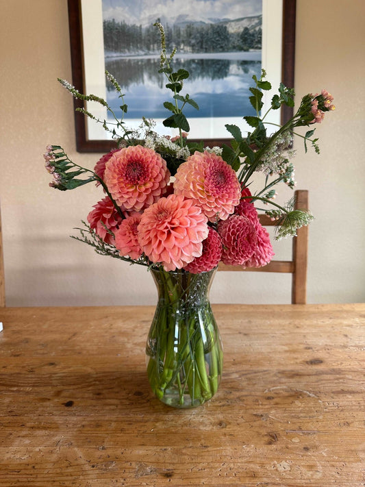 4 week premium dahlia flower bouquet subscription (August - September) - Pedaling Petals