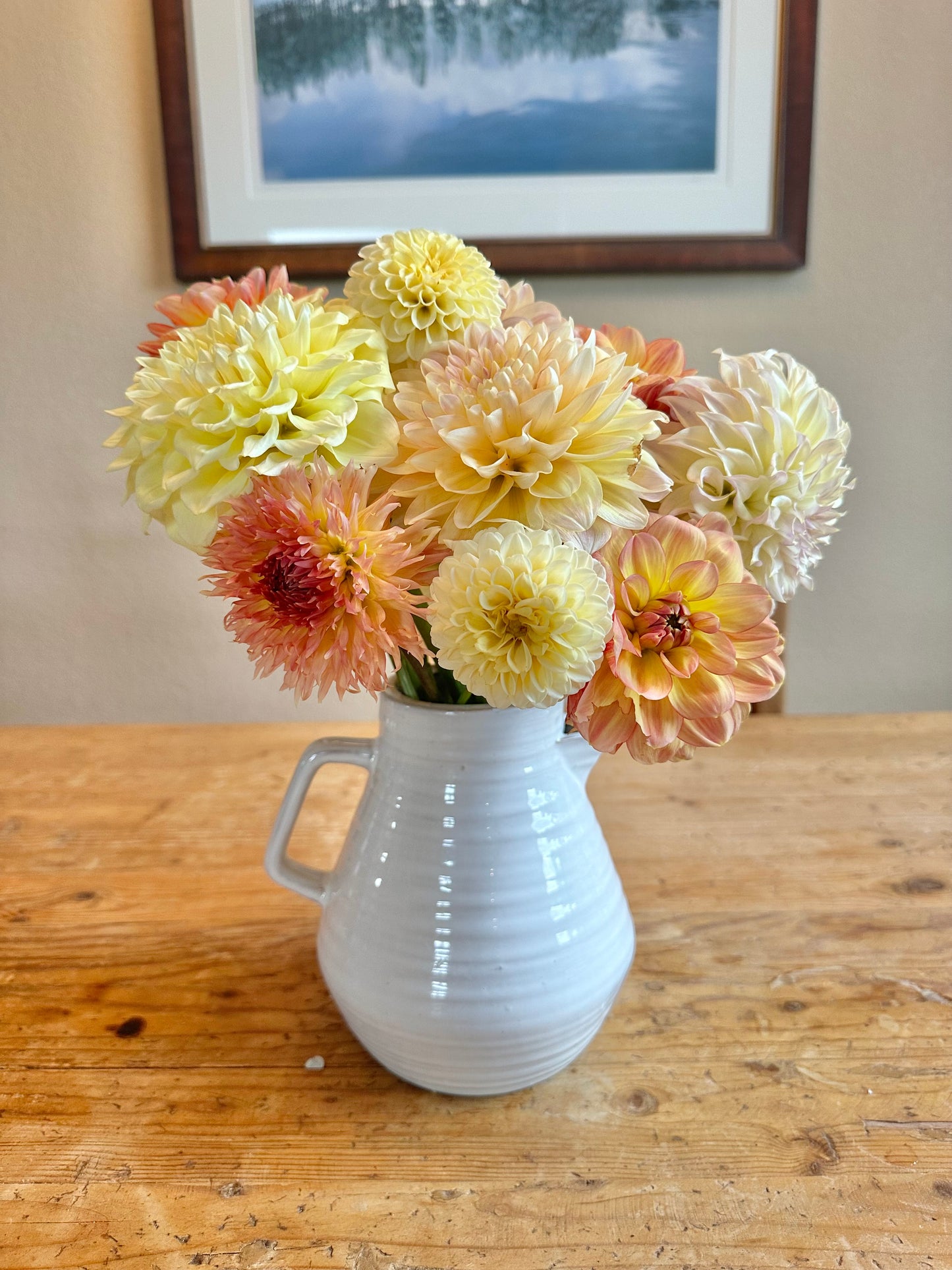Premium dahlia flower bouquet (August-September)