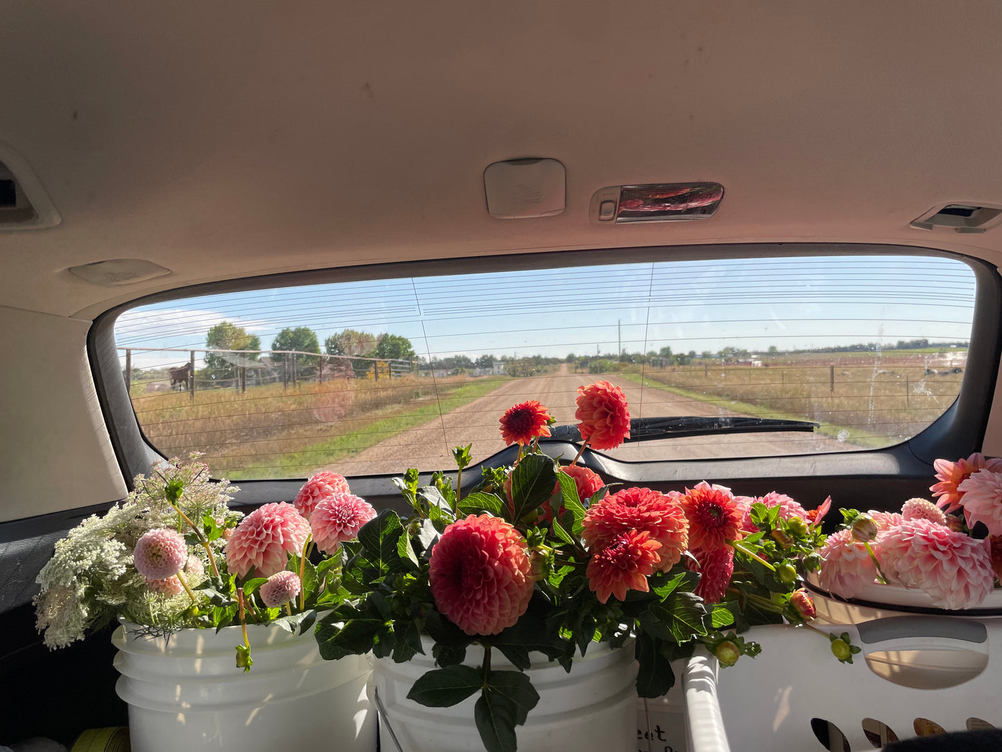 Full Experience: Walk the Farm, Curate & Reserve Your Wedding Blooms