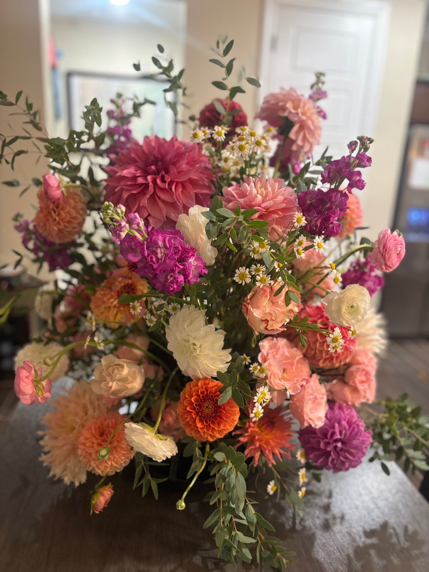 Preview Session: Walk the Farm & Choose Your Palette