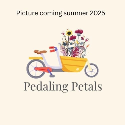 Coseytown Sangria dahlia tuber - Pedaling Petals