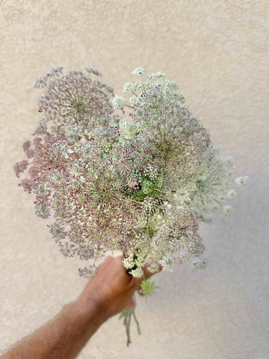 Dara flower bunch - Pedaling Petals