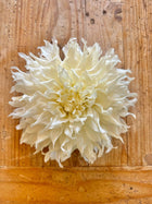 KA's® Khaleesi dahlia tuber