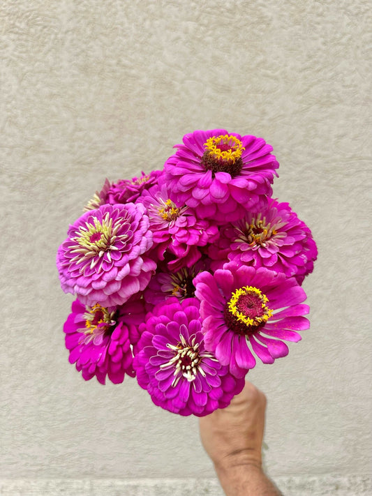 Zinnia flower bunch - Pedaling Petals