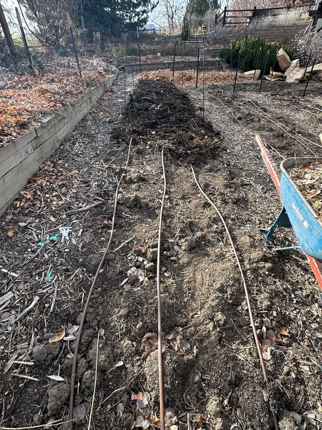 Protect Your Garden & Prepare for Spring with Winter Strategies! - Pedaling Petals