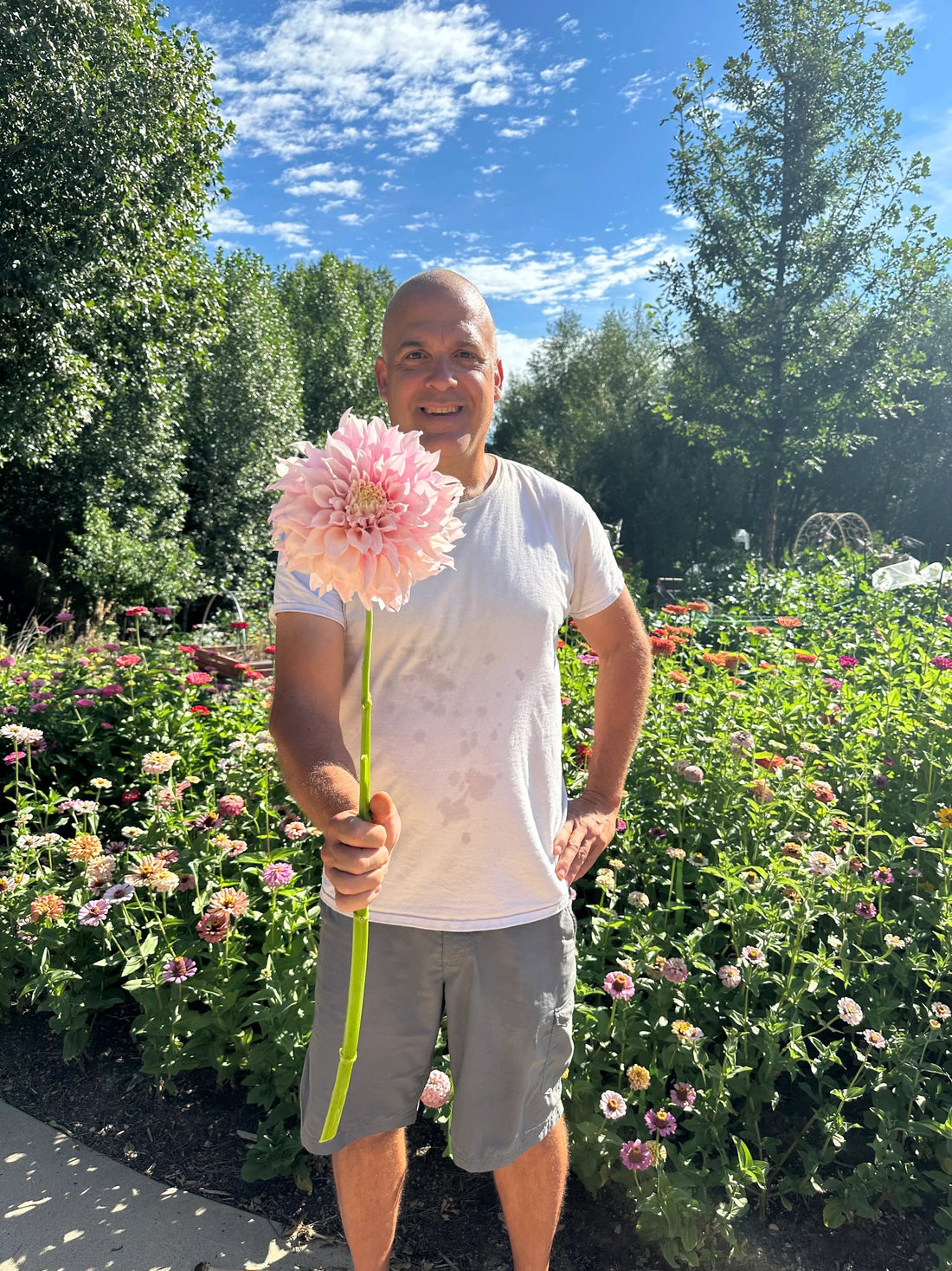 The Joy of Seasonal Flowers - Pedaling Petals