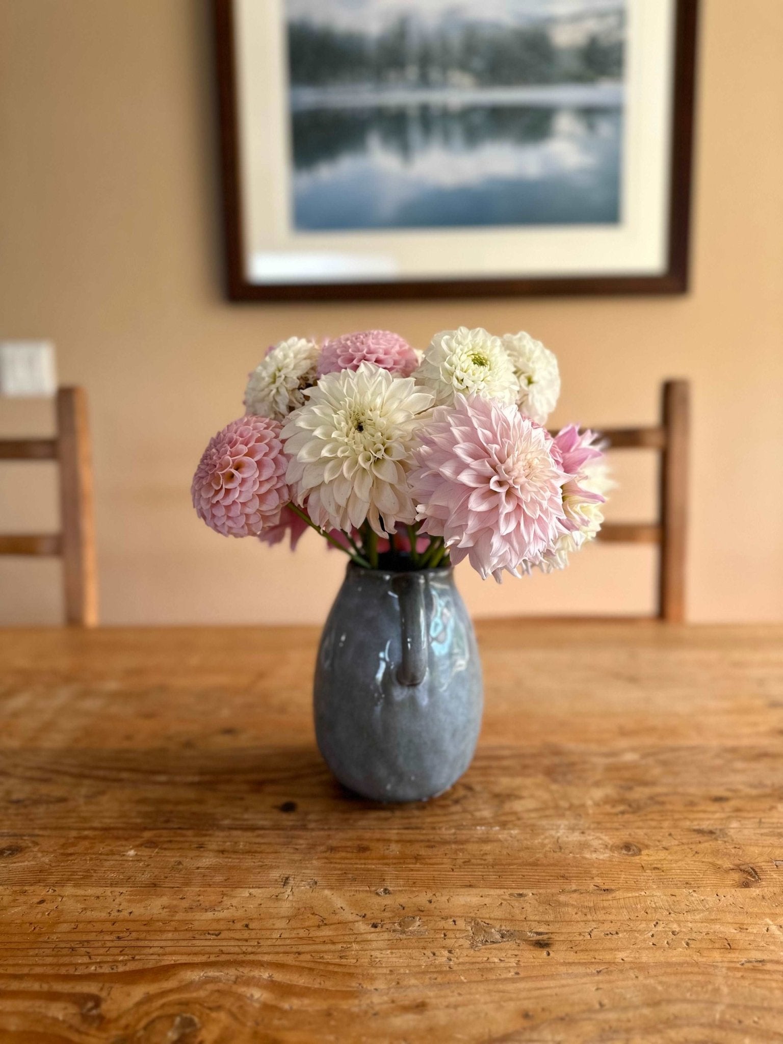 dahlia succulent bouquet 4 week premium dahlia flower bouquet subscription (August-September) – Pedaling Petals