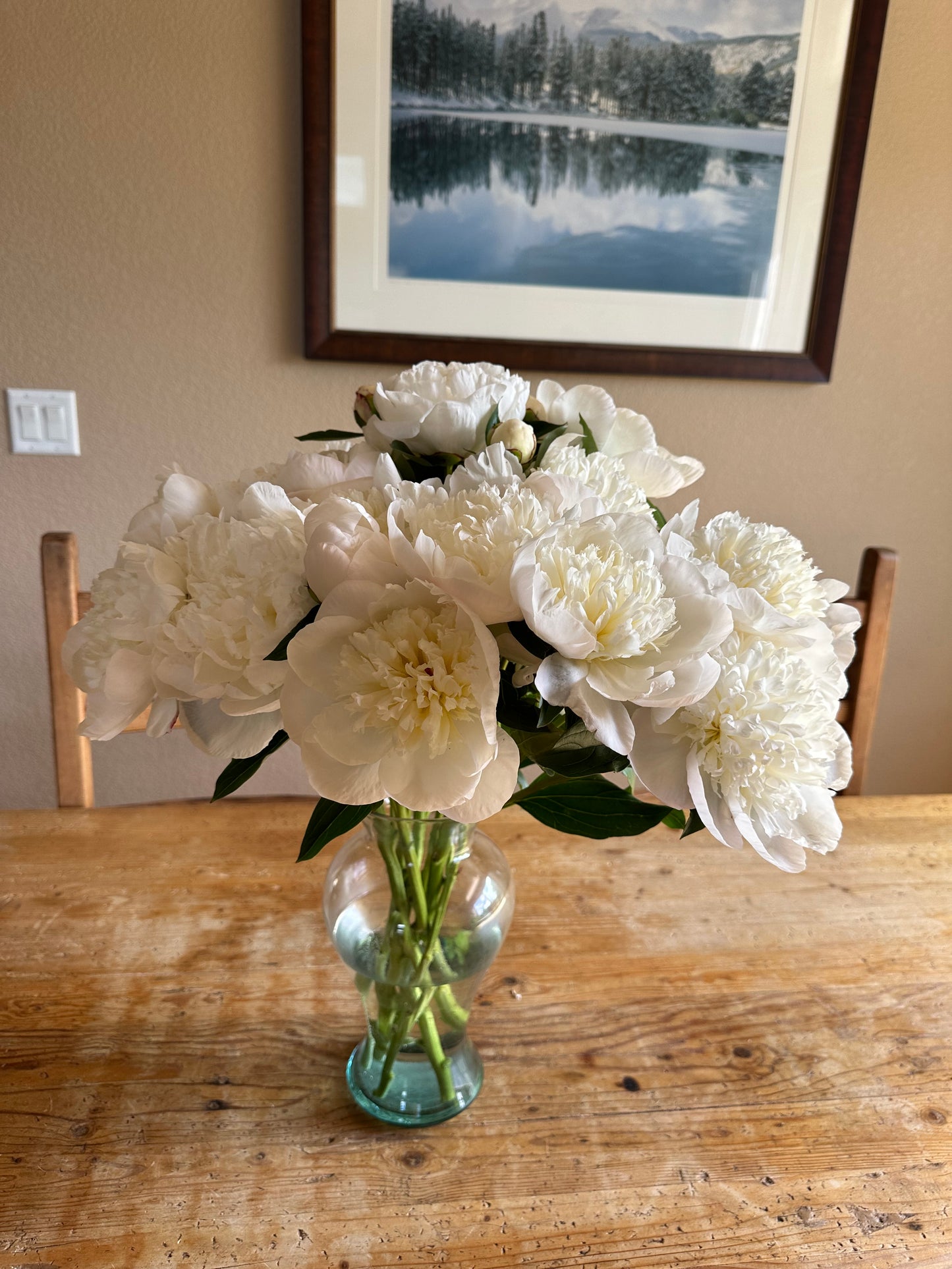 2 week Spring Peony dahlia flower bouquet subscription (May-June)