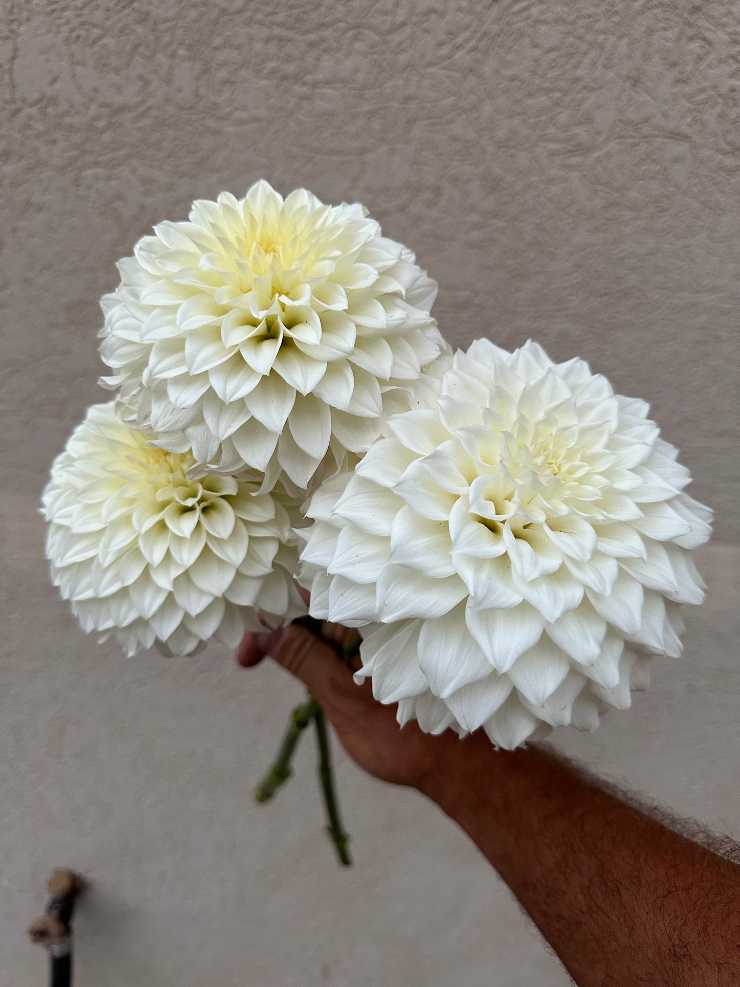 Pastel wedding flowers