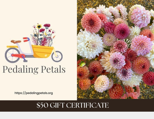 Pedaling Petals gift card