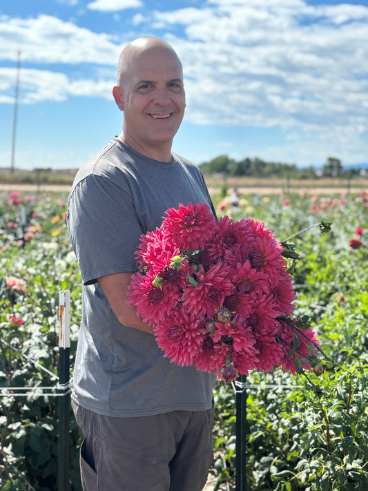 Fire Magic Dahlia tuber