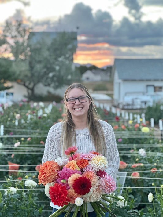 Preview Session: Walk the Farm & Choose Your Palette