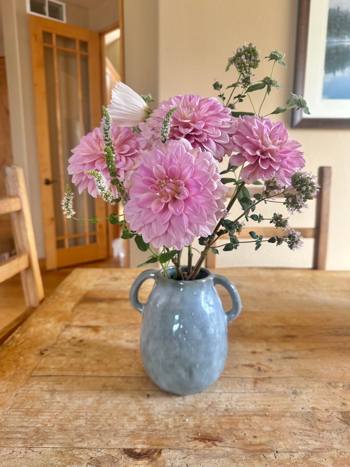 RM Sugar Plum Fairy dahlia