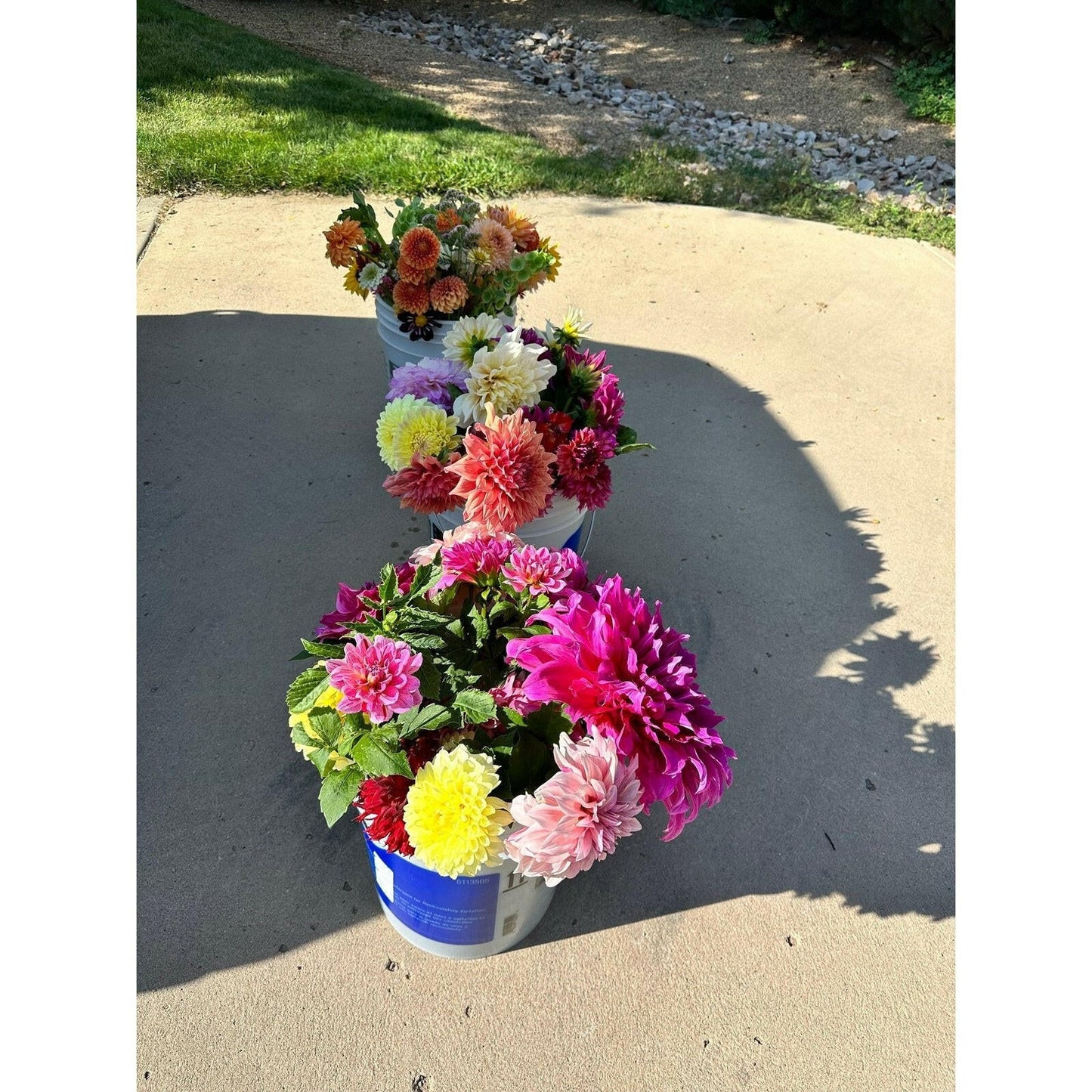 Romantic and elegant dahlia wedding flowers - Pedaling Petals