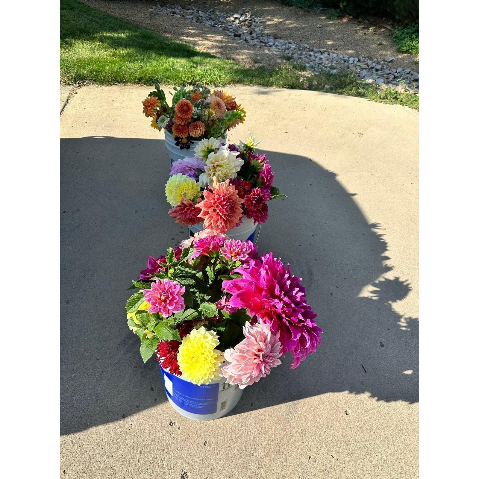 Romantic and elegant dahlia wedding flowers - Pedaling Petals