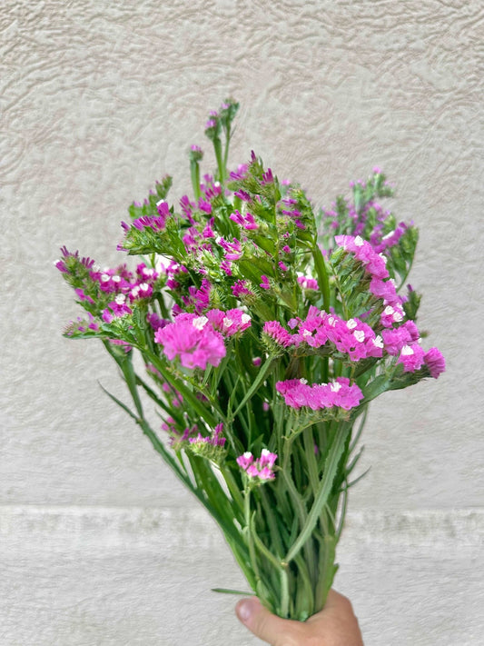 Statice flower bunch - Pedaling Petals