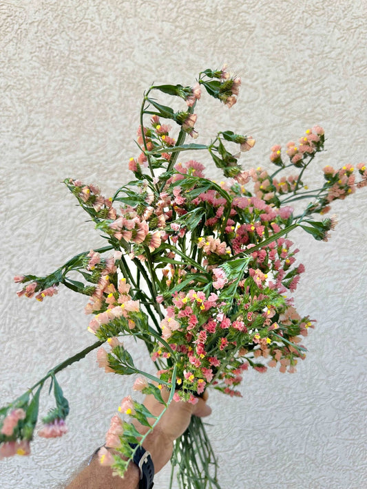 Statice flower bunch - Pedaling Petals