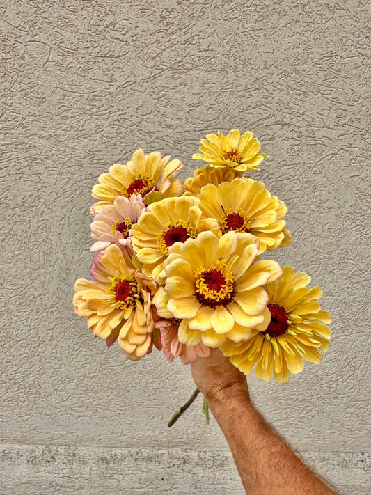 Zinnia flower bunch - Pedaling Petals